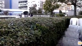 眼镜轻熟女露脸口交无套后入啪啪传教士操 逼，女上位打桩叫声淫荡，表情销魂第01集